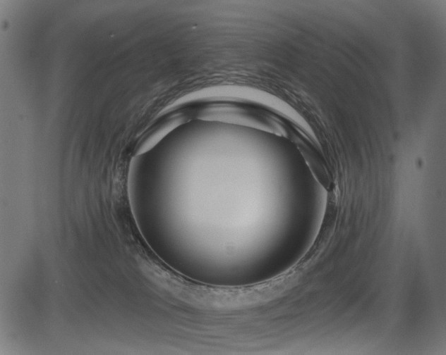 X0000083610037200702121126