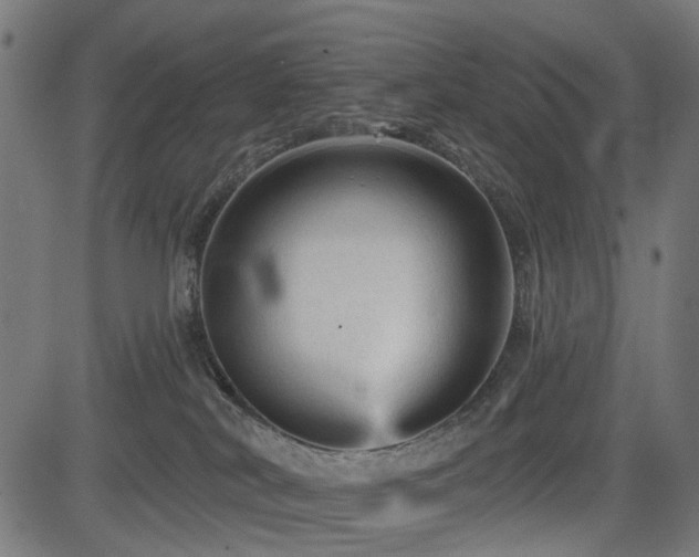 X0000083610038200702121126