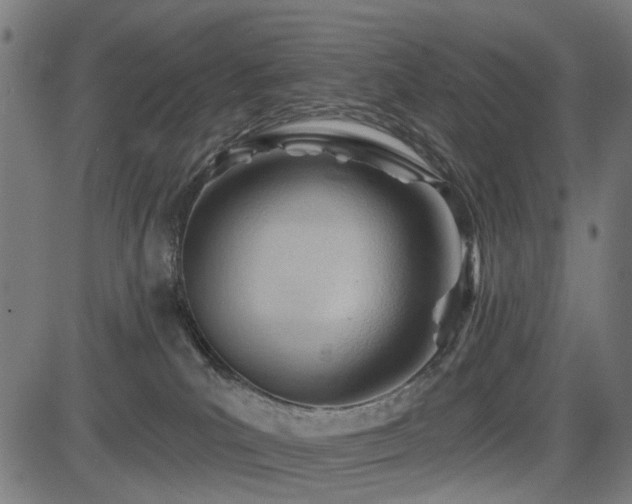 X0000083610039200702121126