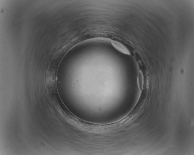 X0000083610040200702121126