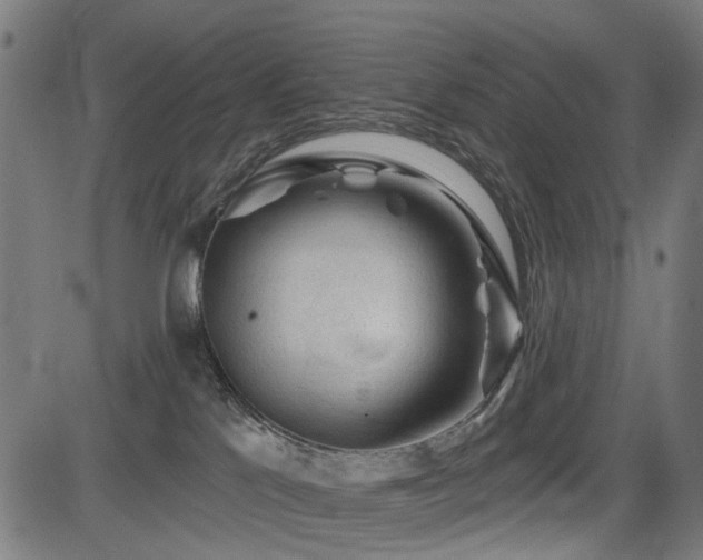 X0000083610041200702121126