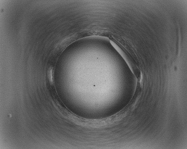 X0000083610042200702121126