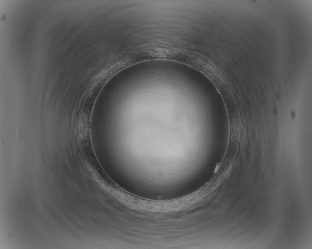 X0000083610043200702121126