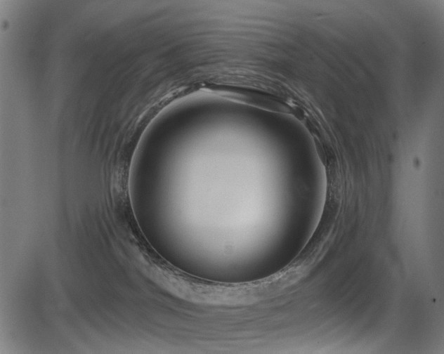 X0000083610044200702121126