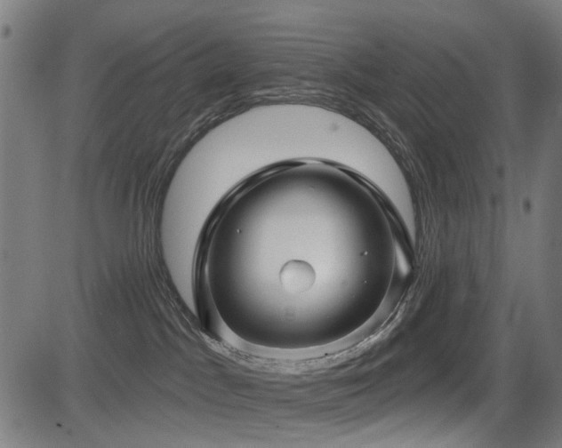 X0000083610045200702121126