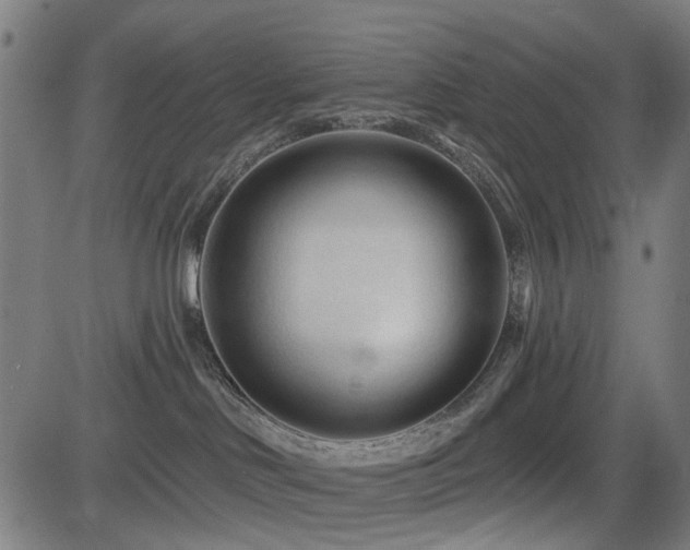 X0000083610046200702121126