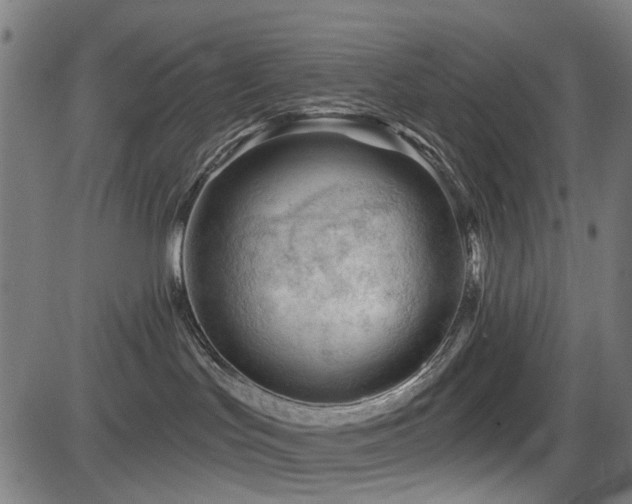 X0000083610047200702121126