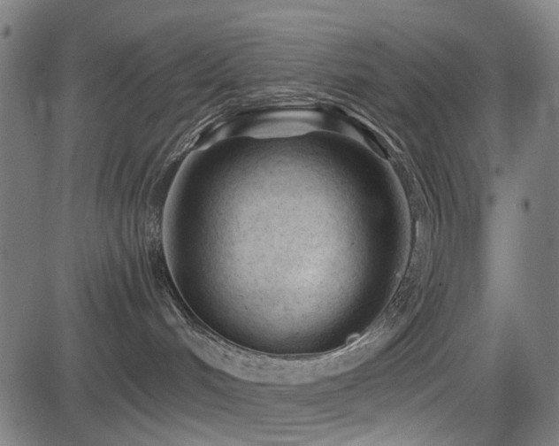 X0000083610048200702121126