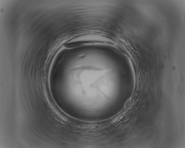 X0000083610049200702121125