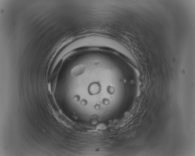 X0000083610050200702121125