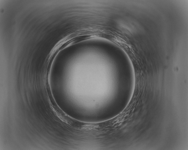 X0000083610051200702121125