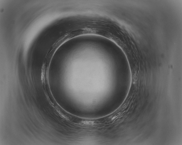 X0000083610052200702121125