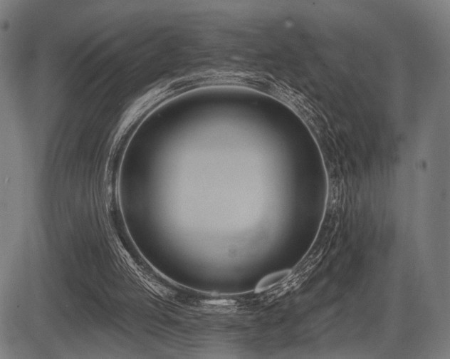 X0000083610053200702121125