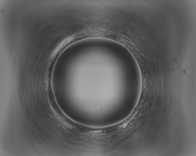 X0000083610054200702121125