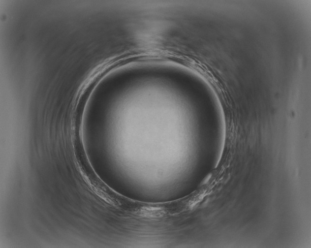 X0000083610055200702121125