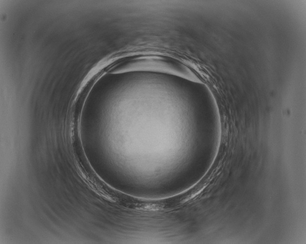 X0000083610056200702121125