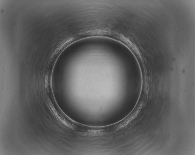 X0000083610057200702121125