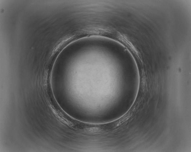 X0000083610058200702121125