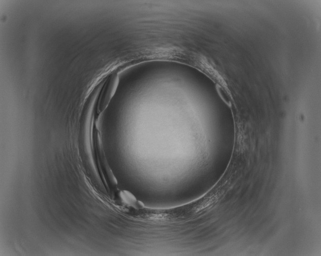 X0000083610059200702121125