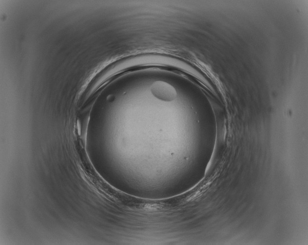 X0000083610060200702121125