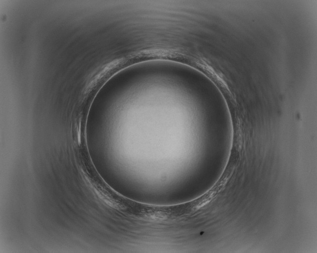 X0000083610062200702121125