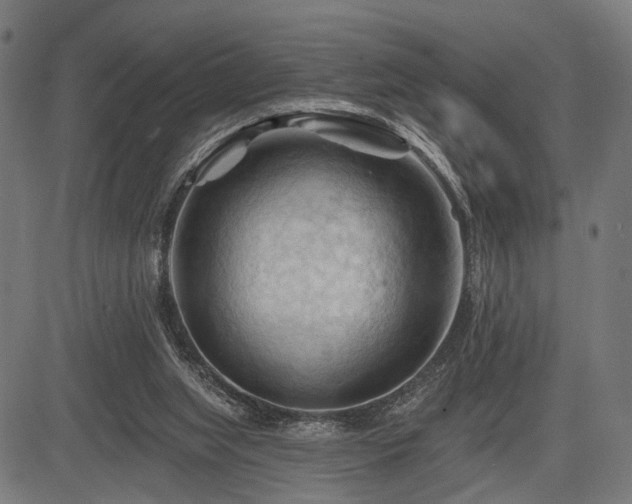 X0000083610063200702121125