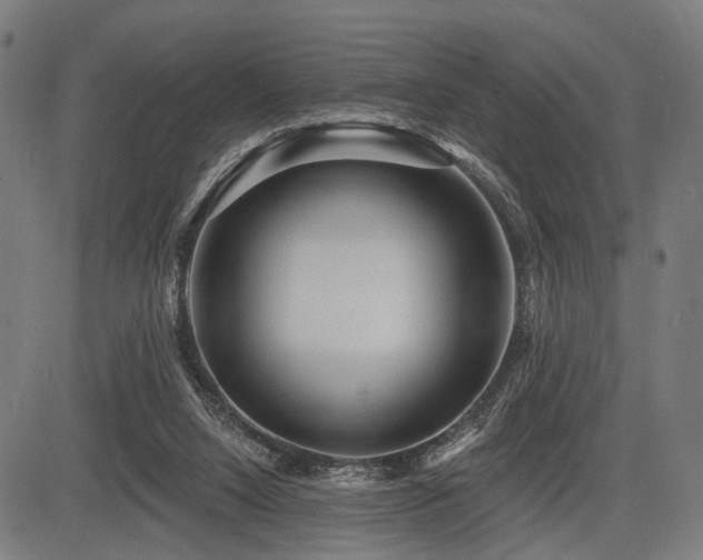 X0000083610064200702121125