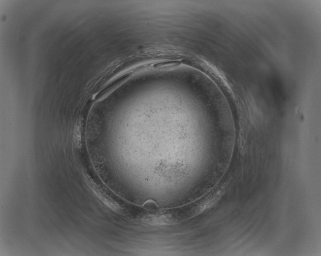 X0000083610065200702121125