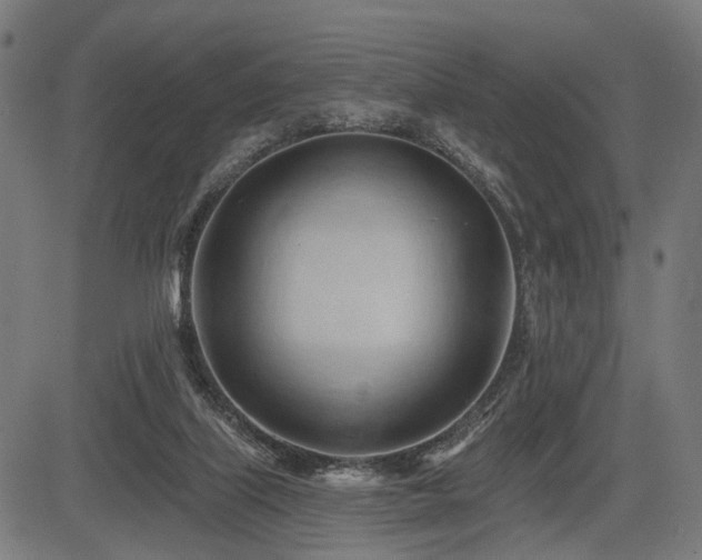 X0000083610067200702121126