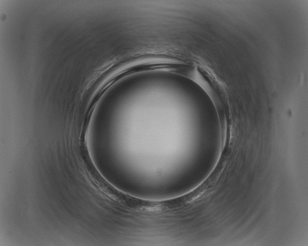 X0000083610068200702121126