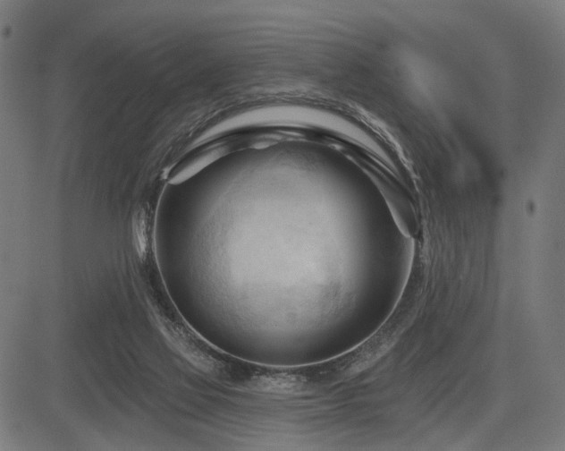 X0000083610069200702121126