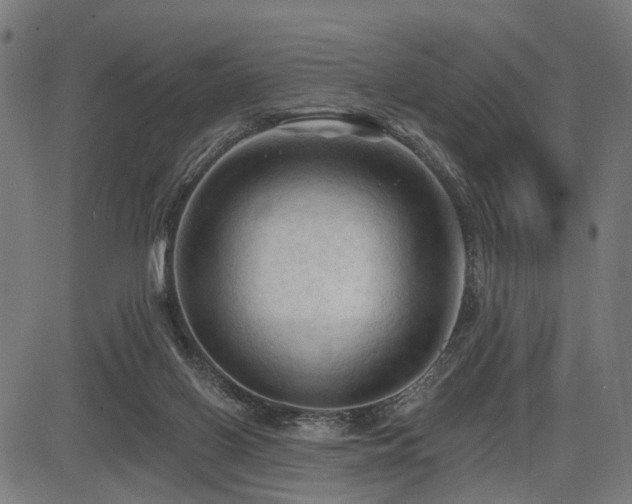 X0000083610070200702121126