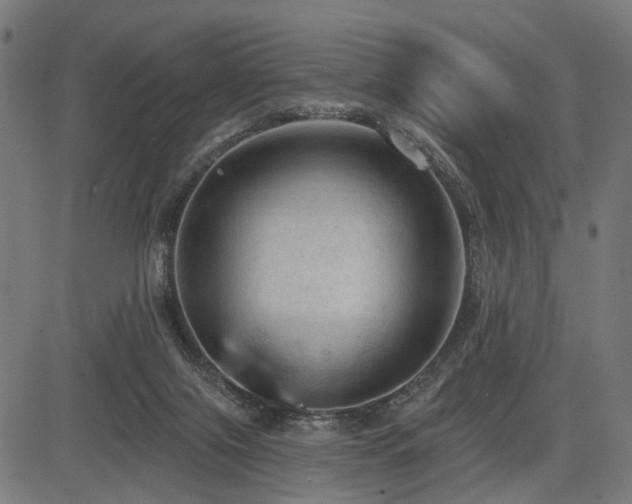 X0000083610071200702121126