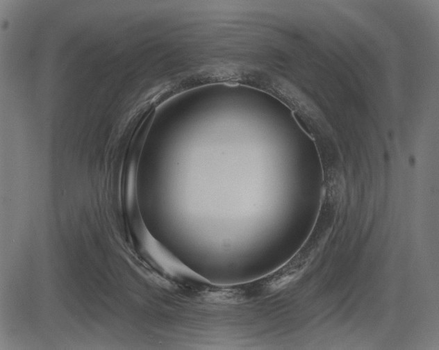 X0000083610072200702121126