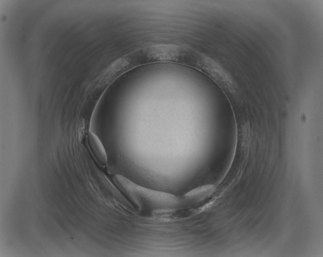 X0000083610073200702121126