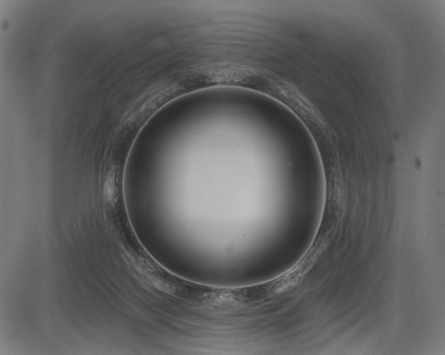 X0000083610074200702121126