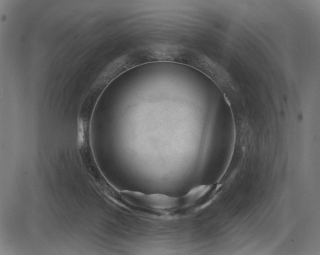 X0000083610075200702121126