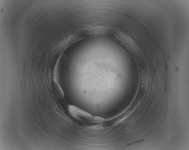 X0000083610077200702121126