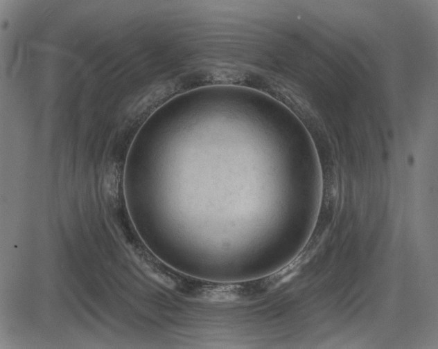 X0000083610078200702121126