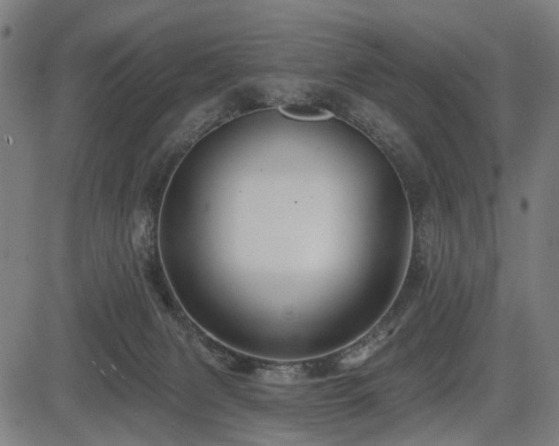 X0000083610079200702121126