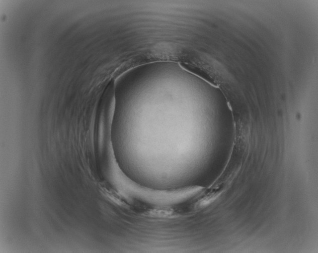 X0000083610080200702121126