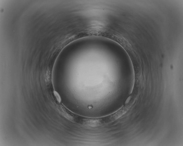 X0000083610081200702121126