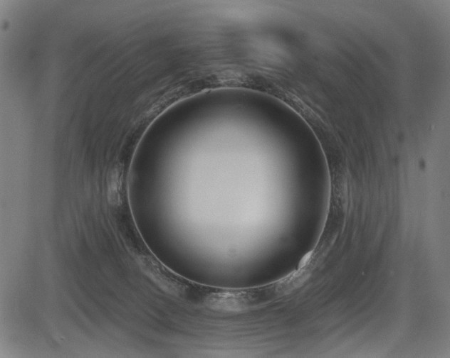 X0000083610082200702121126