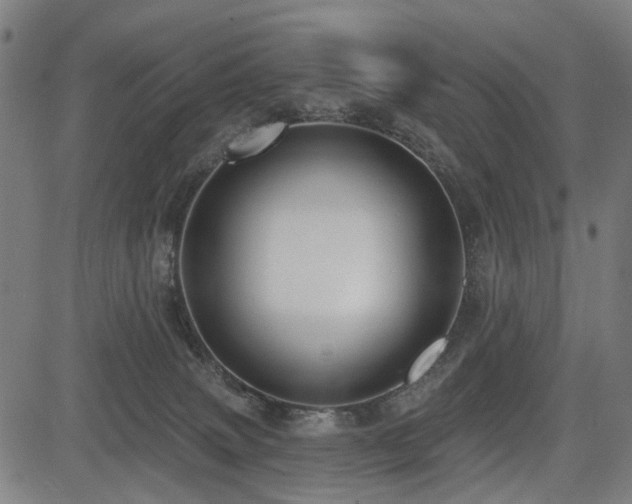 X0000083610083200702121126