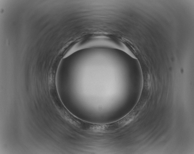 X0000083610084200702121126