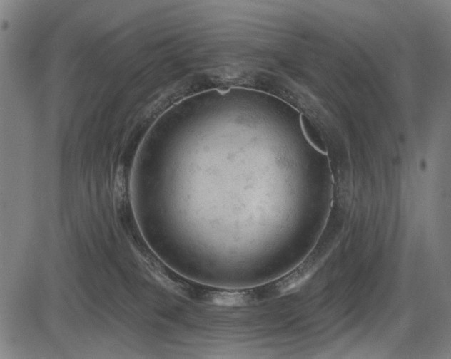 X0000083610085200702121126