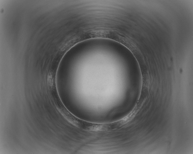 X0000083610086200702121126