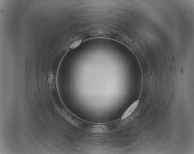 X0000083610087200702121126