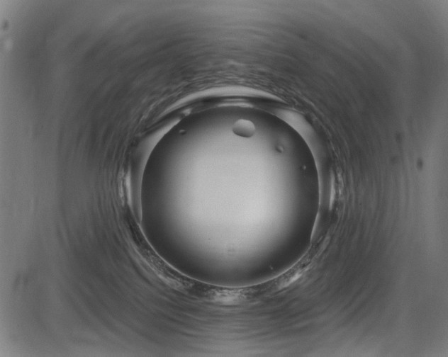 X0000083610088200702121126