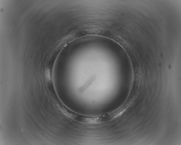 X0000083610089200702121126